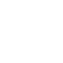 system